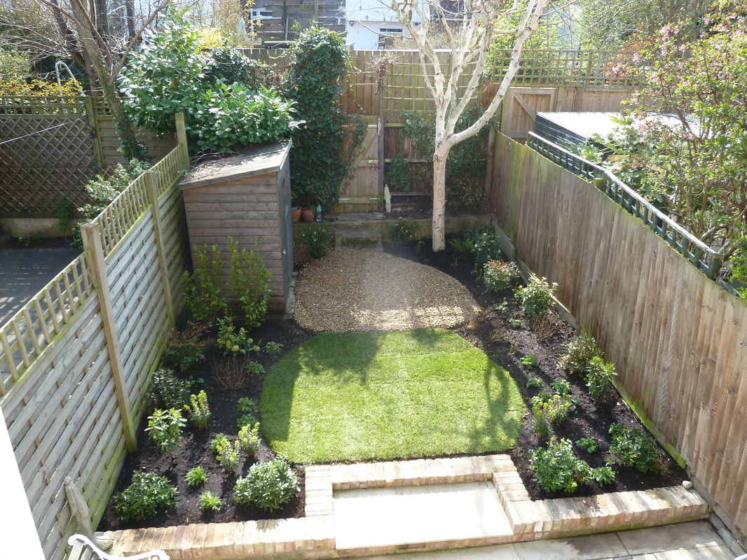 small back garden - crouch end - planting gems