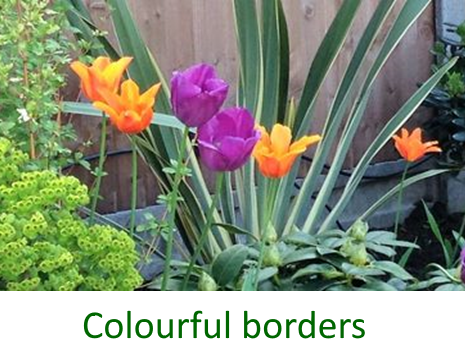 Colourful borders in Enfield