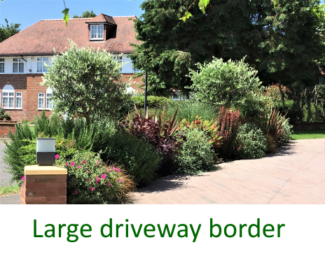 A Mediterranean driveway border in Stanmore