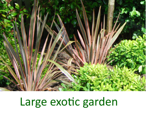 Large exotic garden in Totteridge
