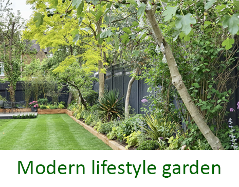 Modern lifestyle garden - Muswell Hill
