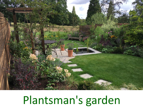 A Plantsman's garden in Muswell Hill