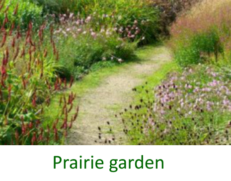 Prairie planting retreat in Enfield
