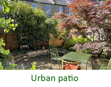 Urban patio - Muswell Hill